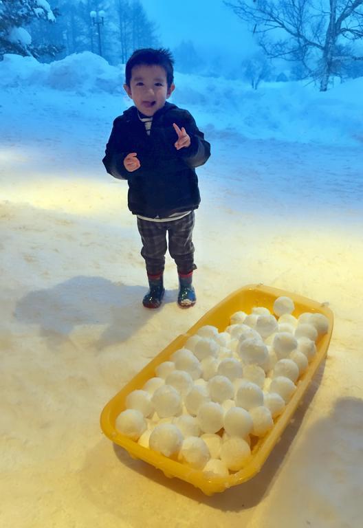 Snowball Chalet At Madarao Mountain Hotel Iiyama Buitenkant foto