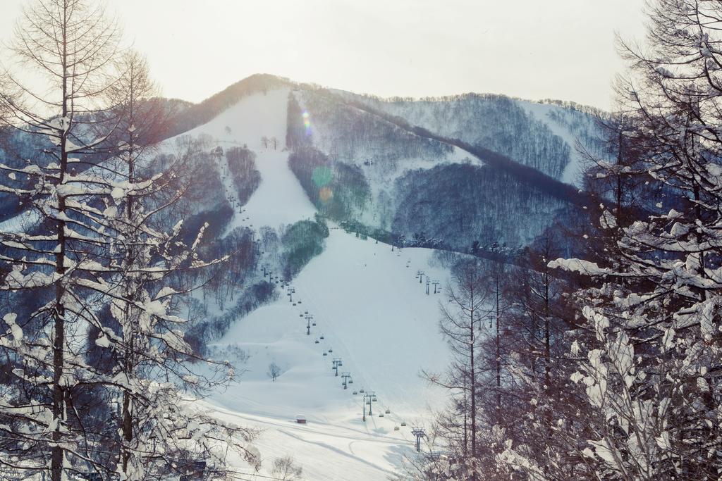 Snowball Chalet At Madarao Mountain Hotel Iiyama Buitenkant foto